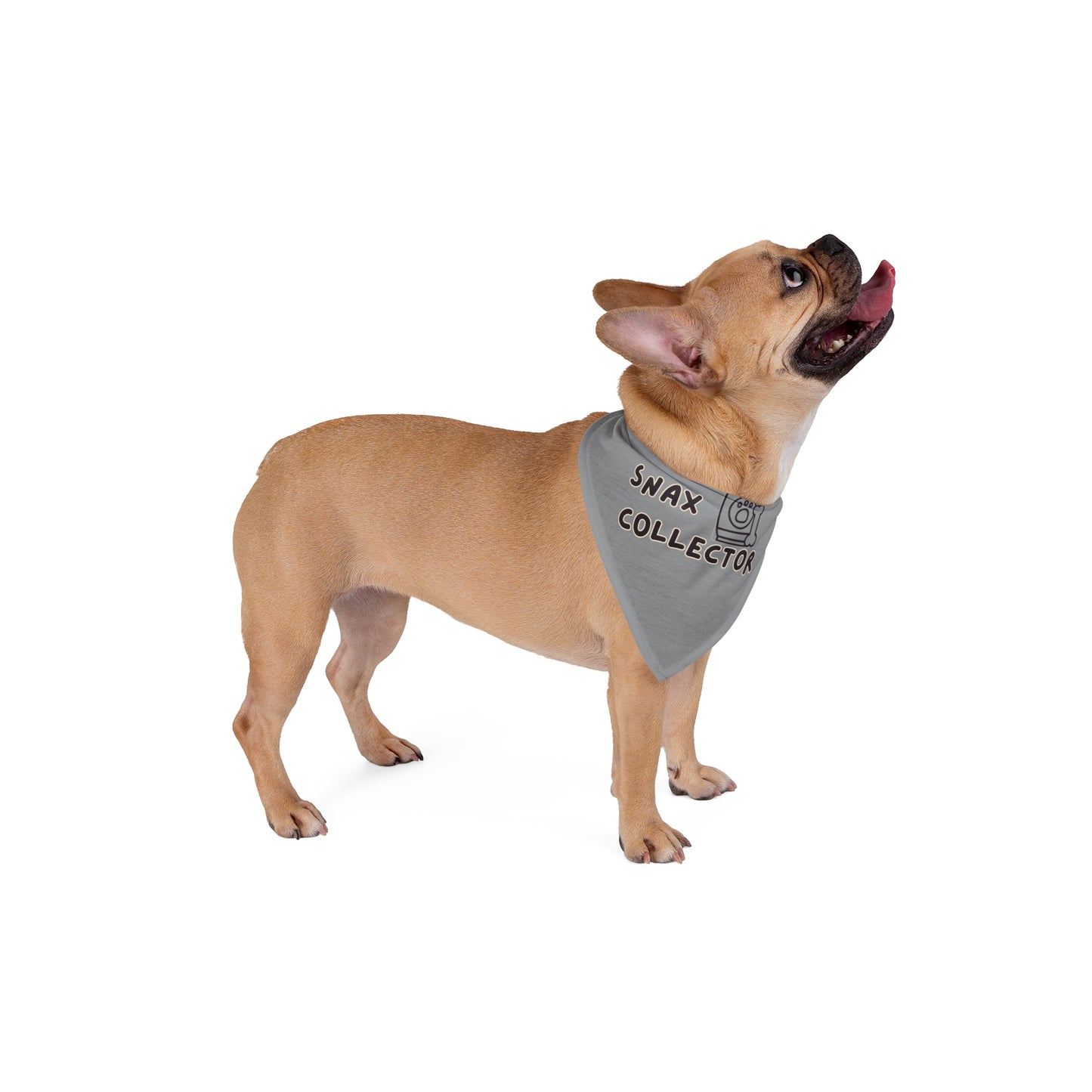 Snax Collector - Pet Bandana - Grey