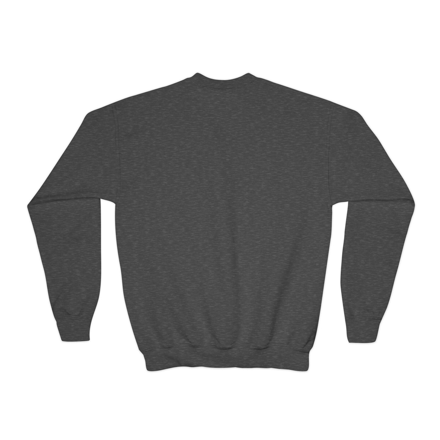 Dino Youth Crewneck Sweatshirt
