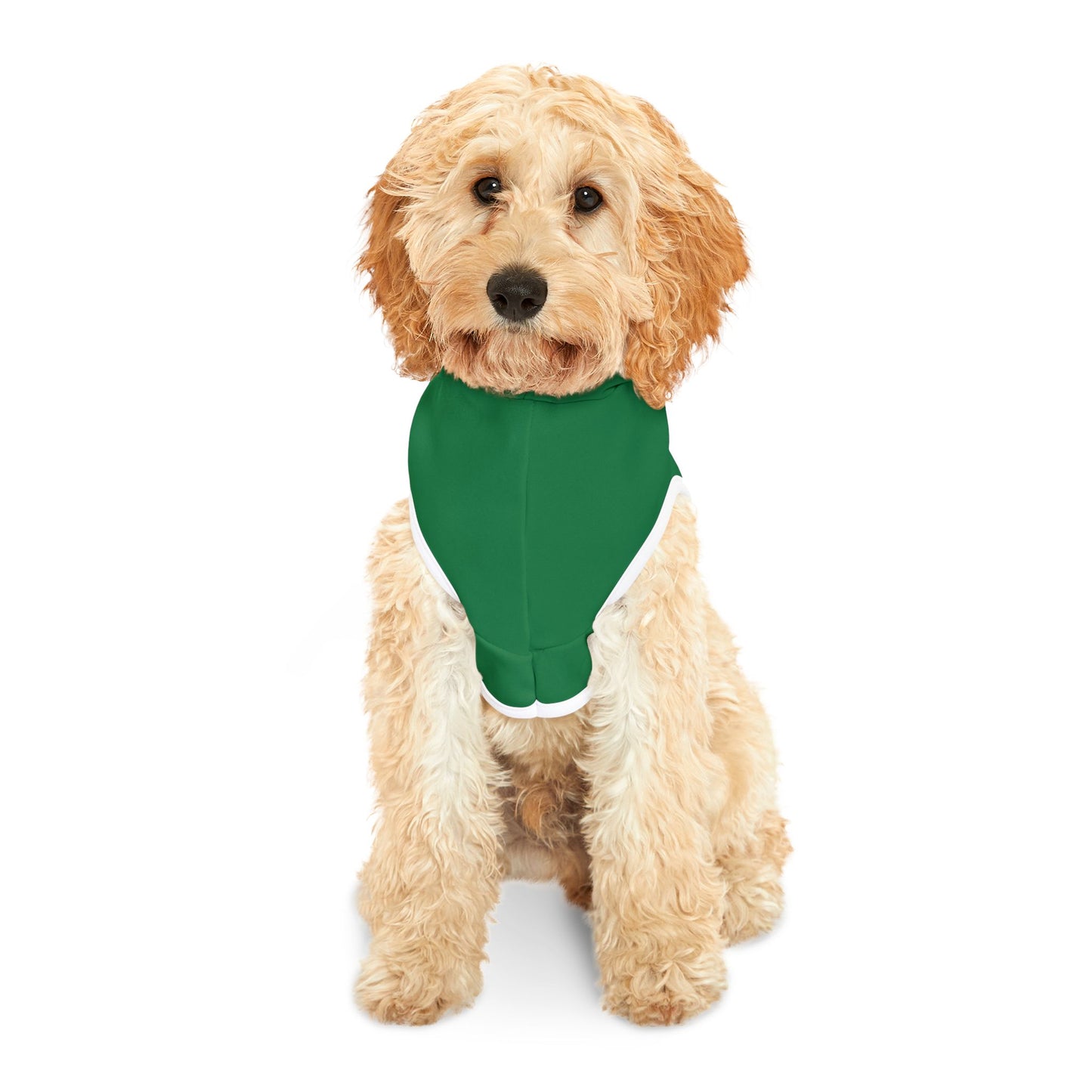 Snax Collector - Pet Hoodie - Green