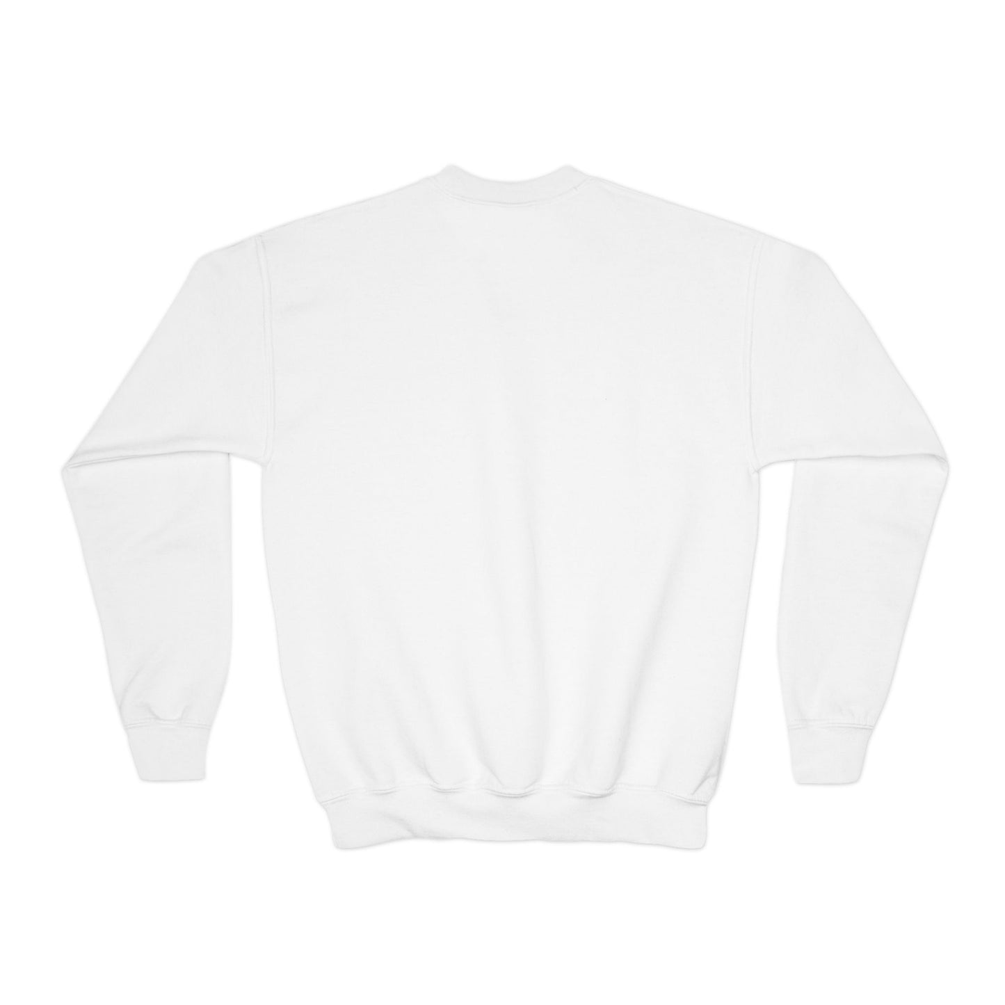 Invasticate Youth Crewneck Sweatshirt, Cool Sweatshirt for Kids, Youth Clothing, Trendy Apparel, Inspirational Gift, Cozy Fashion