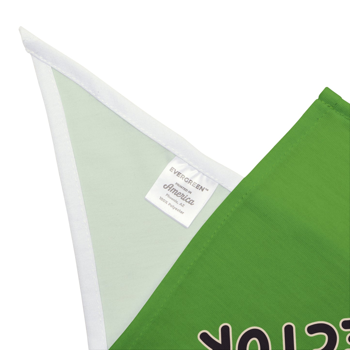 Snax Collector - Pet Bandana - Green