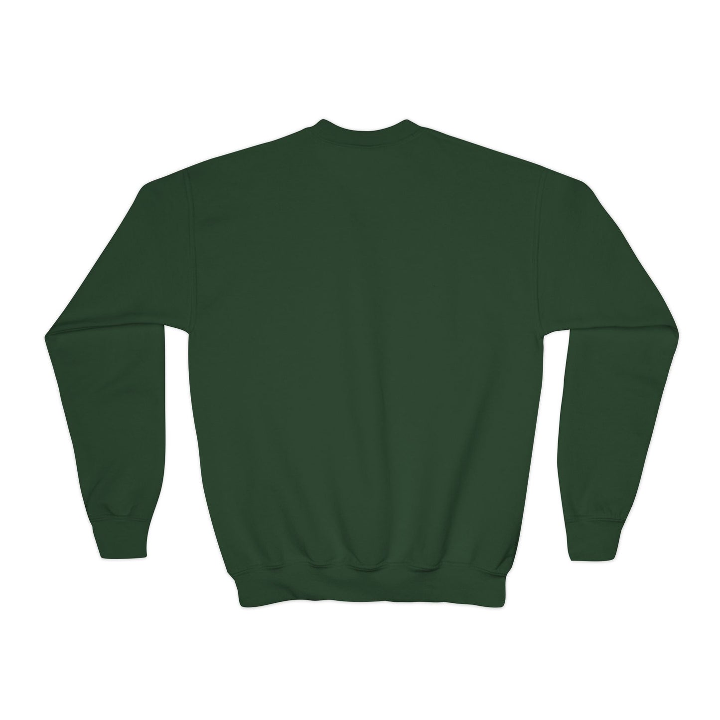 Dino Youth Crewneck Sweatshirt
