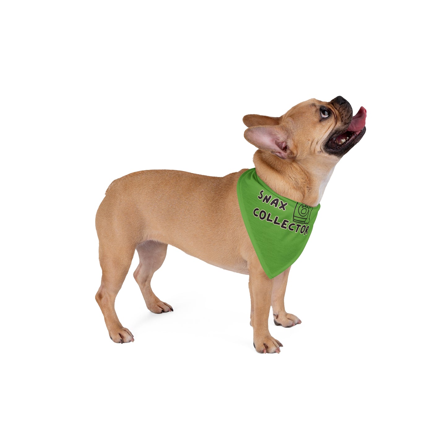 Snax Collector - Pet Bandana - Green