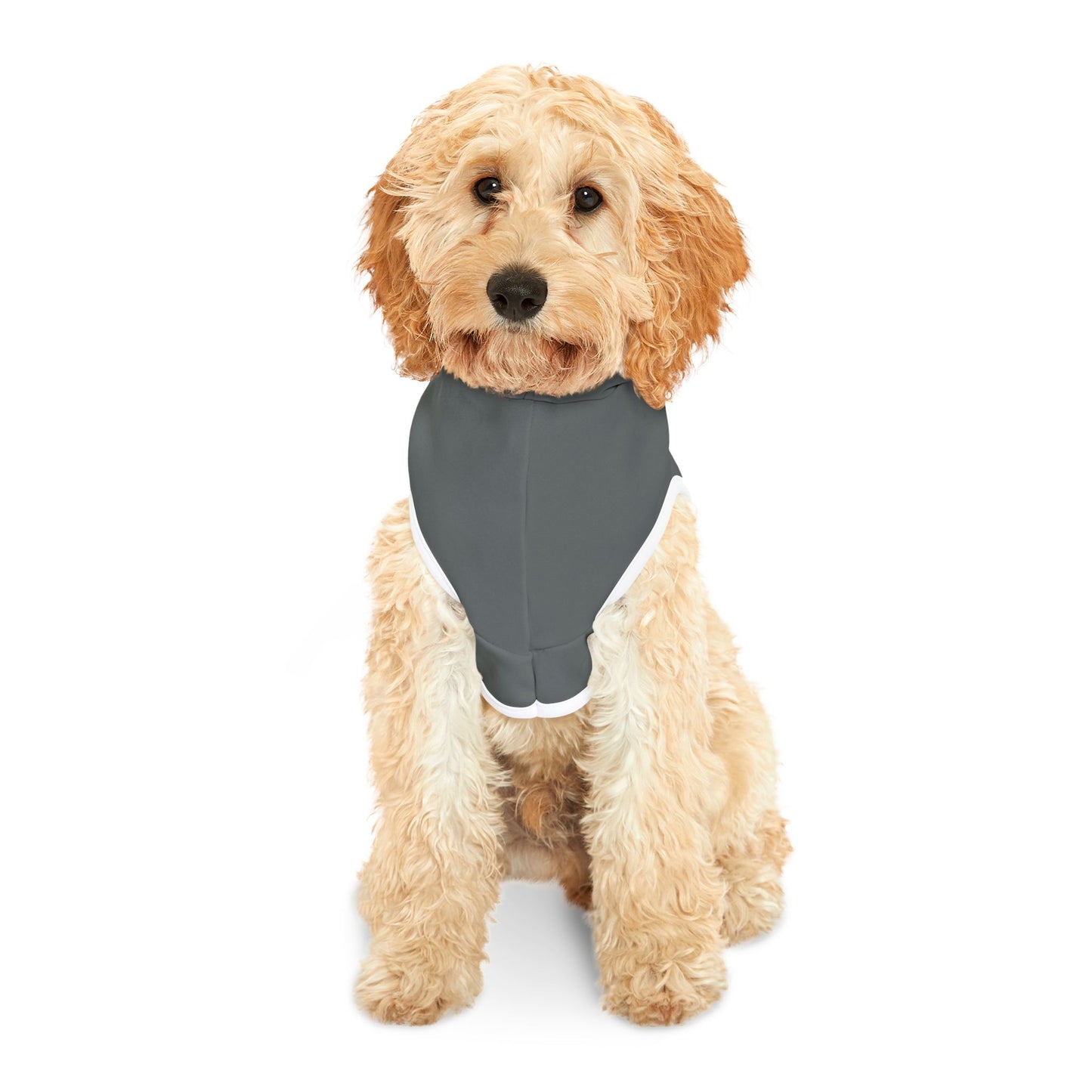Snax Collector - Pet Hoodie - Grey