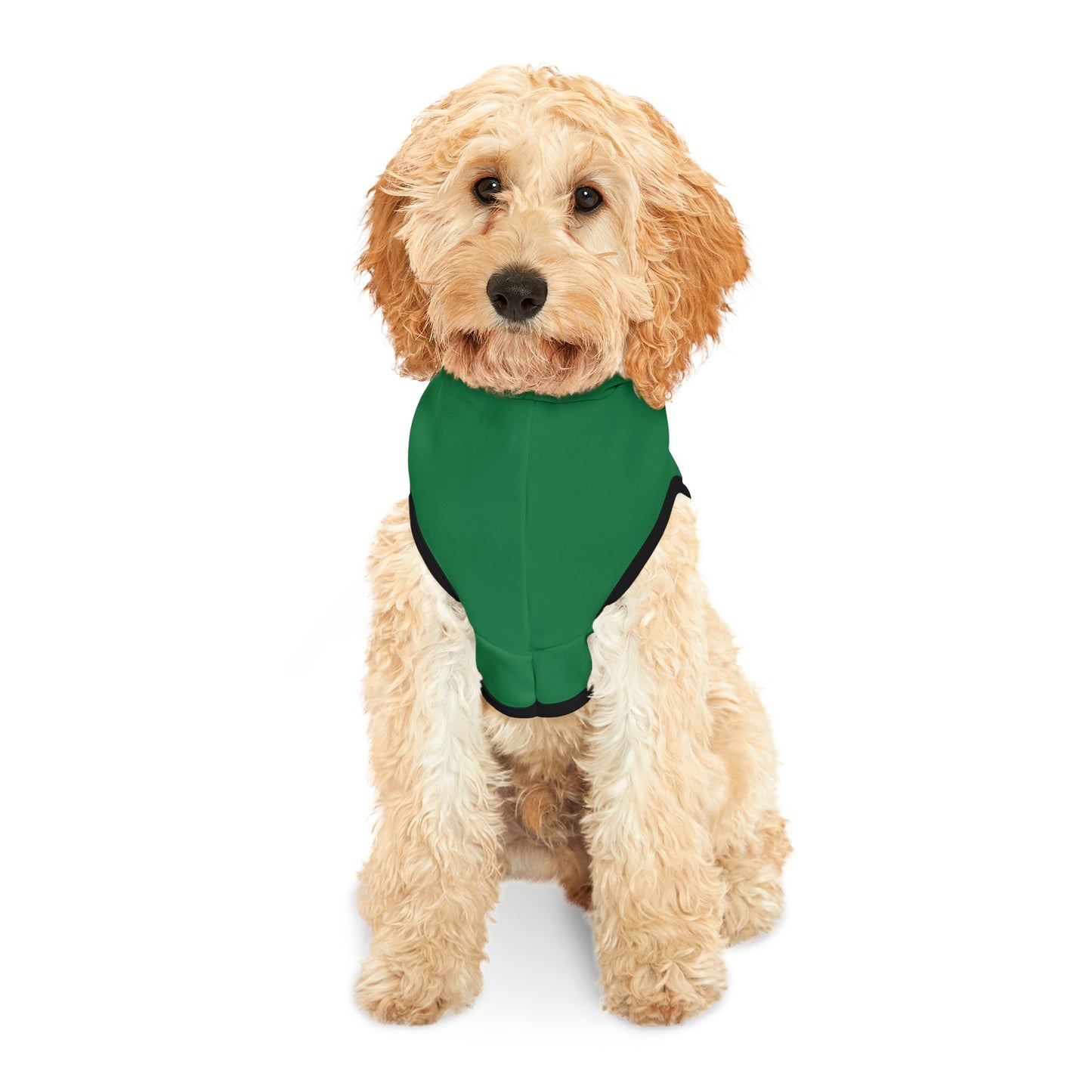 Snax Collector - Pet Hoodie - Green