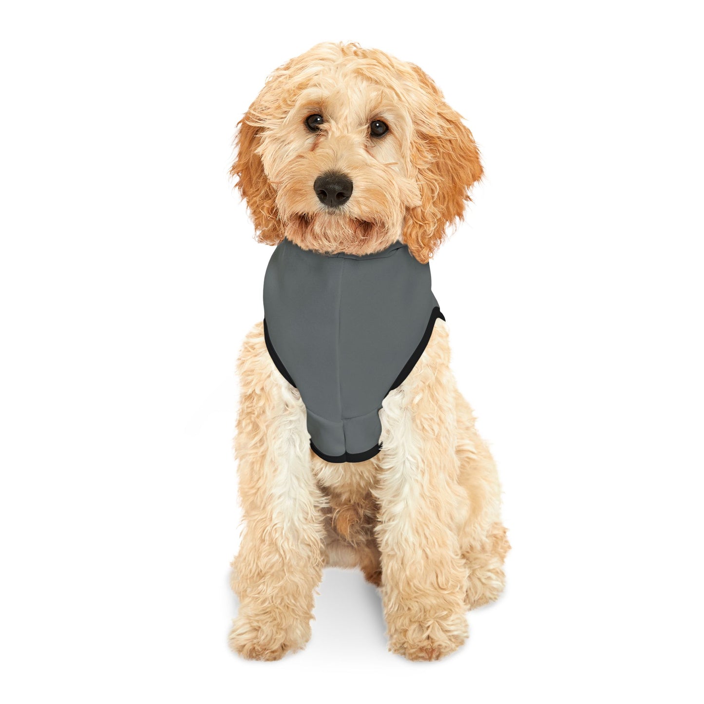 Snax Collector - Pet Hoodie - Grey